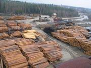 Предлагает к продаже лес - кругляк из России регионов Сибири!+
